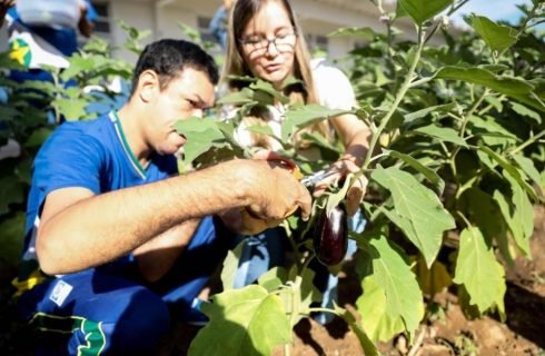 Projeto Hortas Escolares será mantido em 2026 na rede estadual