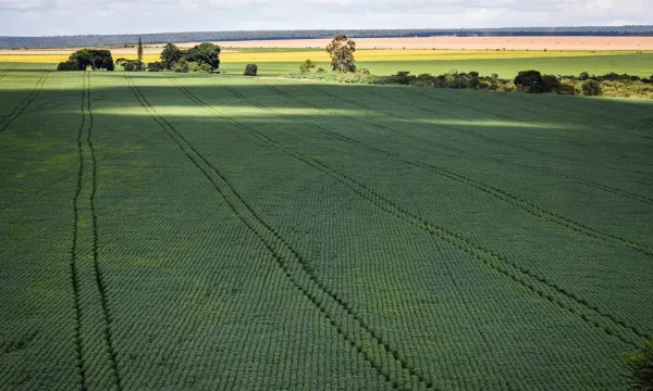 Senado aprova plano para fabricação de fertilizantes no Brasil