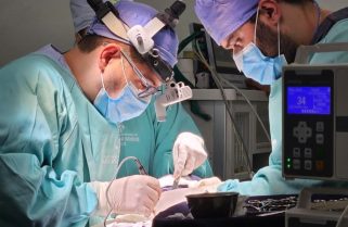 Dia Mundial da Meningite e a importância da vacinação