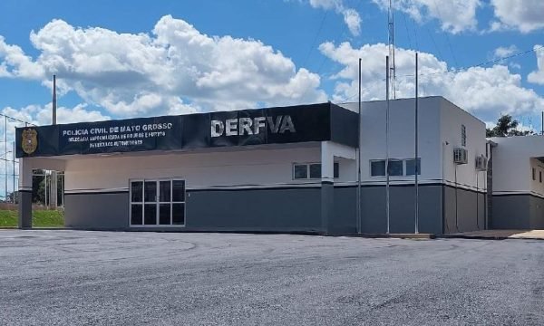 Polícia Civil apreende 32 toneladas de carne bovina durante investigações de roubos de veículos