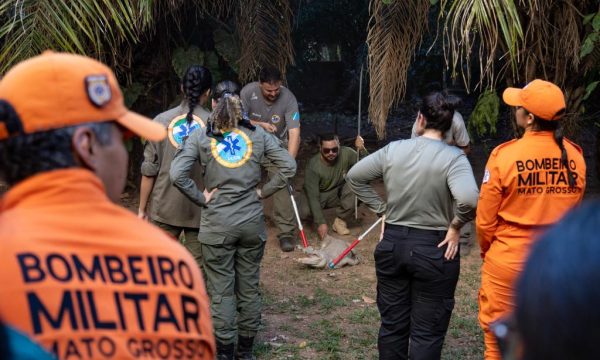 Sema conclui capacitação para manejo de animais silvestres em eventos climáticos extremos
