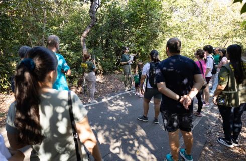 Atividades guiadas no Parque Mãe Bonifácia resgatam importância de árvores nativas