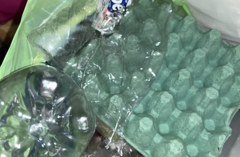 Censo mostra falta de senso na gestão do lixo