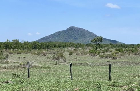 Exportações do agro brasileiro batem recorde e alcançam US$ 14,19 bilhões em setembro