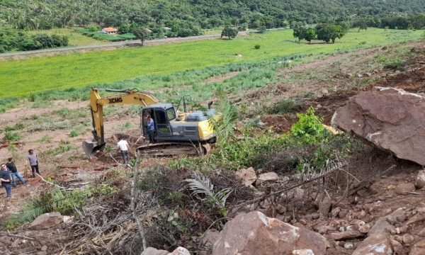 Polícia Civil flagra desmate ilegal em área de conservação em Barão de Melgaço