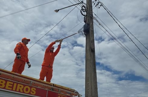 Corpo de Bombeiros resgata catita e família de saruê em Confresa e Alto Araguaia