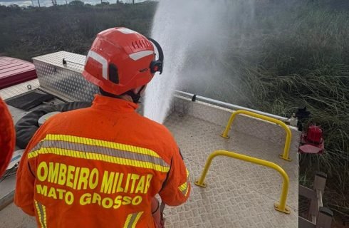 Corpo de Bombeiros combate incêndio em vegetação e resgata filhotes de gato