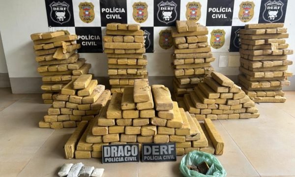 Polícia Civil prende faccionado e apreende 305 tabletes de maconha enterrados nos fundos de imóvel
