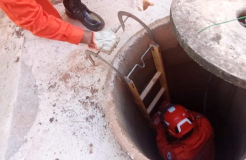 Corpo de Bombeiros atua em ocorrências com animais silvestres e domésticos nesta segunda-feira (27)