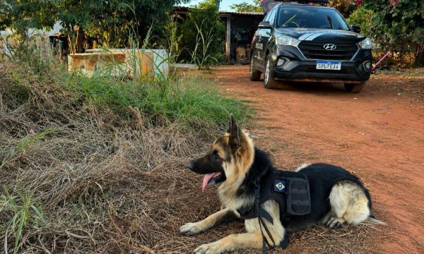 Polícia Civil deflagrou operação contra investigados por homicídio ligado a facção em Tabaporã