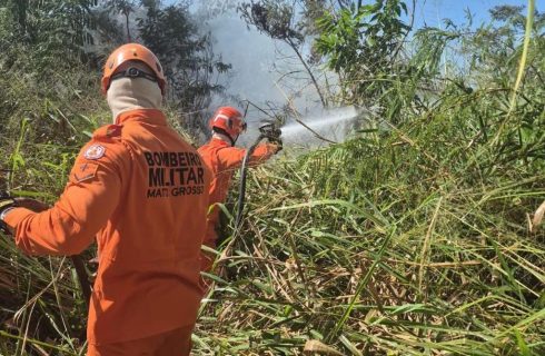 Corpo de Bombeiros combate incêndio em terreno urbano e atende vítima de acidente de trânsito