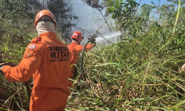 Corpo de Bombeiros combate incêndio em terreno urbano e atende vítima de acidente de trânsito