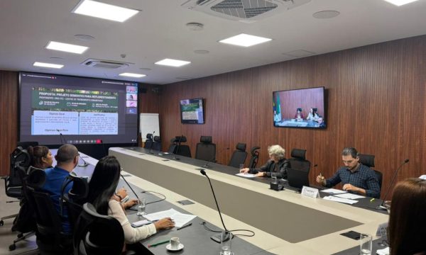 Conselho do Desenvolve Floresta aprova projetos de restauração e educação ambiental