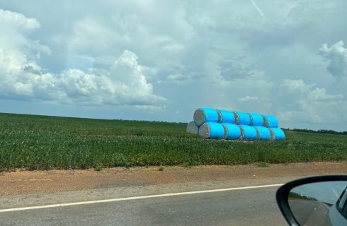 Produção de grãos de MT deve aumentar 4,3% na safra 2024/2025
