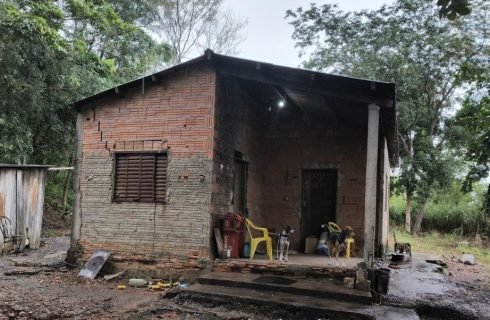 Polícia Civil identifica suspeito por maus-tratos e abuso contra cachorro
