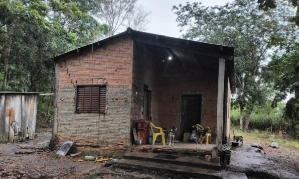 Polícia Civil identifica suspeito por maus-tratos e abuso contra cachorro