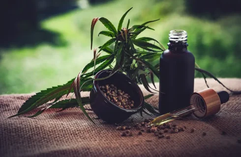 Para associações, normas ainda deixam pontos em aberto sobre cannabis