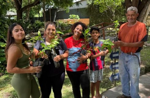 Museu promove dia meio ambiente com doação de mudas, oficinas e programação para toda a família