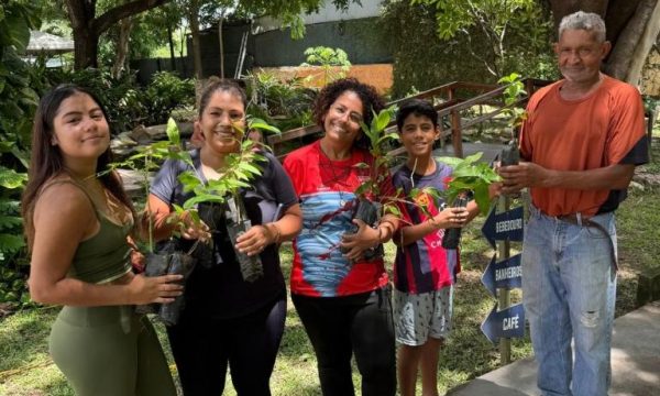 Museu promove dia meio ambiente com doação de mudas, oficinas e programação para toda a família