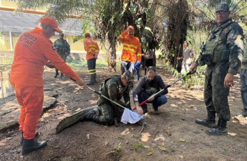 Sema e parceiros iniciam capacitação para manejo e contenção de fauna em caso de incêndios florestais