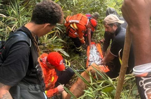 Bombeiros resgatam mulher com vida após vários dias perdida em área de mata