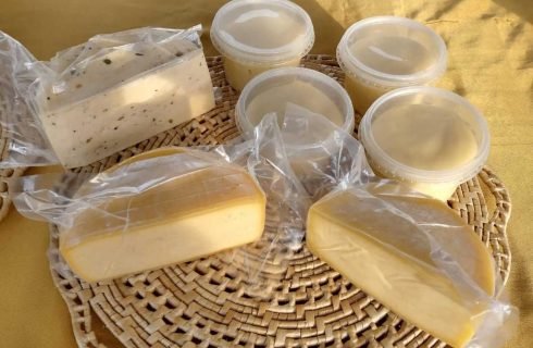 Agricultora familiar que deixou de ser professora para se dedicar à produção de leite e queijo conta com apoio do Governo de MT