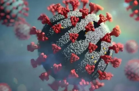 ALERTA: Cientistas apontam qual vírus deve causar a próxima pandemia
